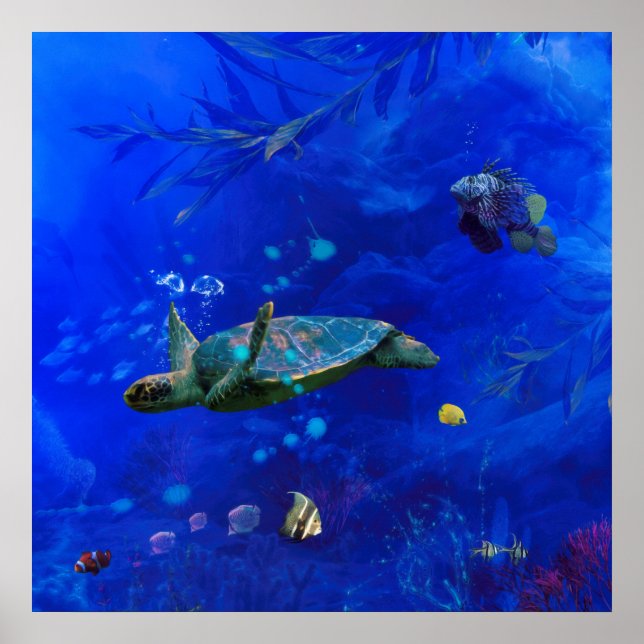 MEERESTURTLE WIND AUF DEM WASSER POSTER (Vorne)