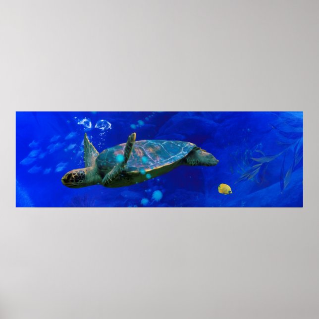 MEERESTURTLE WIND AUF DEM WASSER POSTER (Vorne)