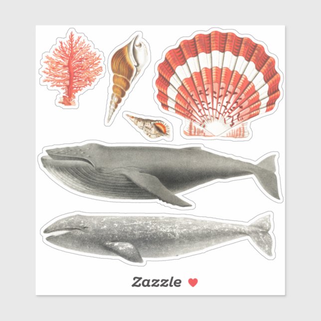 MEERESWELT AQUATIC STICKER SAMMLUNG MIT WALEN (Blatt)