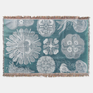 Meereswelt Blueprint IV Decke