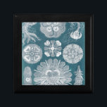 Meereswelt Blueprint IV Erinnerungskiste<br><div class="desc">Meeresleben</div>