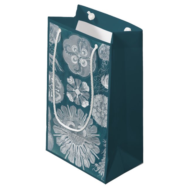 Meereswelt Blueprint IV Kleine Geschenktüte (Vorderseite Schrägansicht)