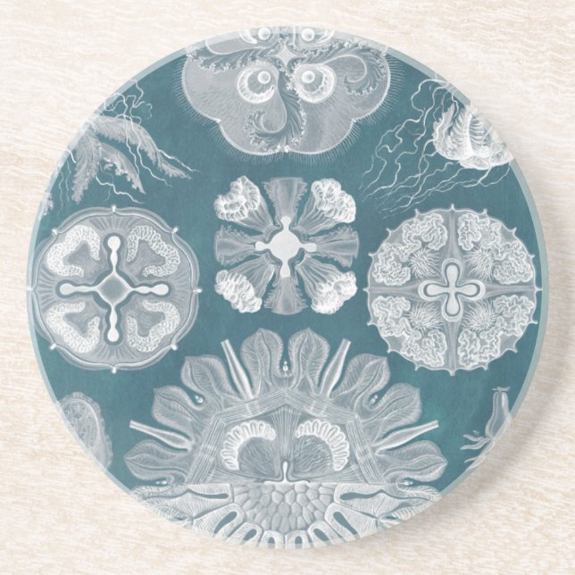 Meereswelt Blueprint IV Sandstein Untersetzer (Vorne)