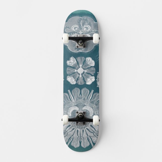 Meereswelt Blueprint IV Skateboard (Vorderseite)