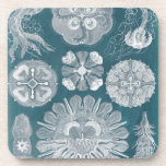 Meereswelt Blueprint IV Untersetzer<br><div class="desc">Meeresleben</div>