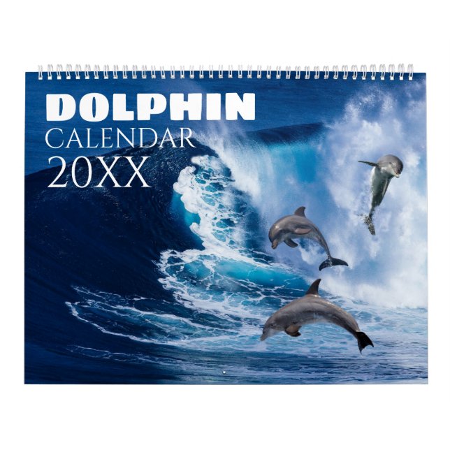Meereswelt des Dolphin-Wall-Kalenders 2025 Kalender (Titelbild)