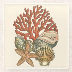 Meereswelt Glasuntersetzer