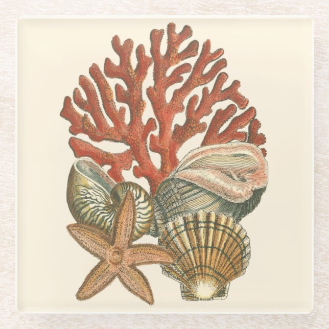 Meereswelt Glasuntersetzer (Vorderseite)