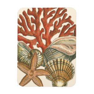 Meereswelt Magnet