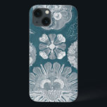 Meereswelt-Plan IV Case-Mate iPhone Hülle<br><div class="desc">Meeresflora und -fauna</div>