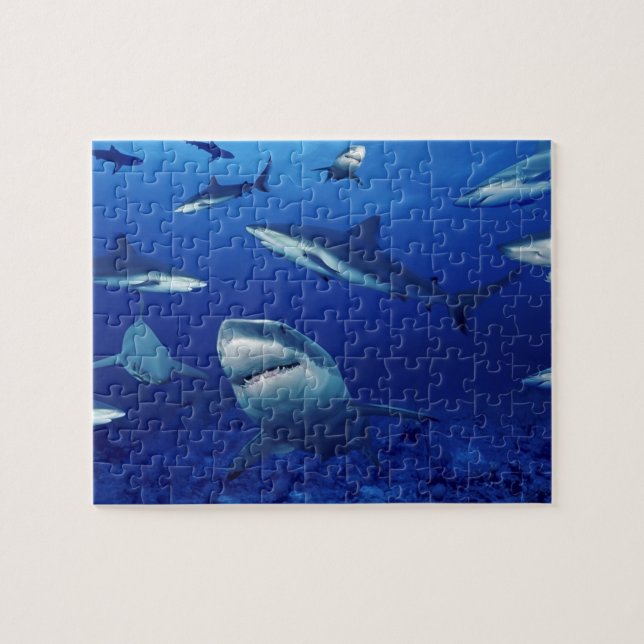 Meereswelt Puzzle-Sharks Jigsaw Puzzle (Horizontal)