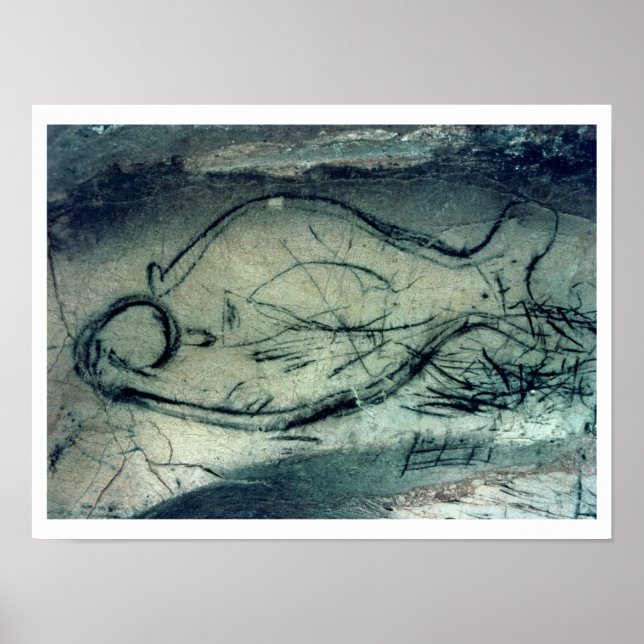 Meereszahl, Paläolithikum (c.40000-12000 Poster (Vorne)