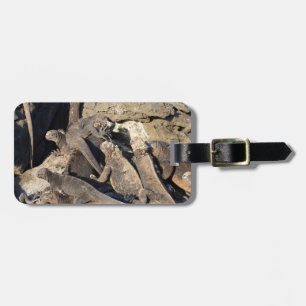 Meeriguanen auf vulkanischem Gestein, Galapagos-In Gepäckanhänger