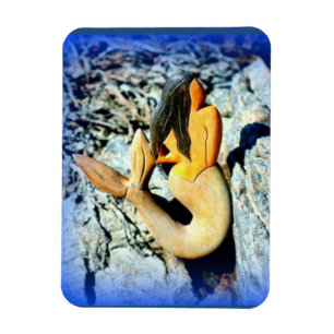 Meerjungfrau Magnet