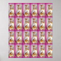 Meerjungfrauen rosa Poster