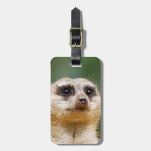 Meerkat20151001 Gepäckanhänger