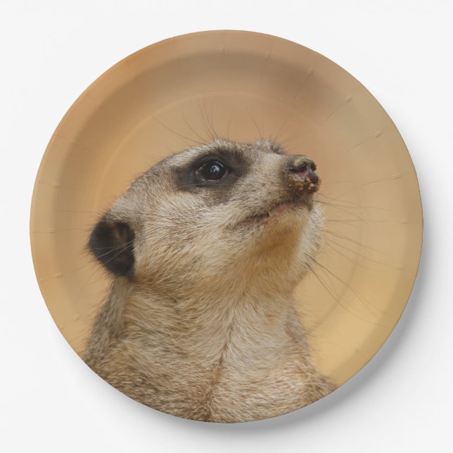 Meerkat20151002 Pappteller (Vorderseite)