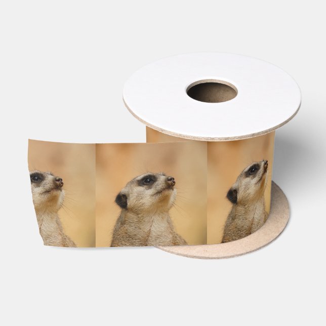 Meerkat20151002 Satinband (Spule)