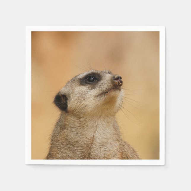 Meerkat20151002 Serviette (Vorderseite)