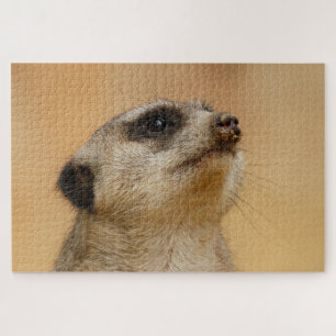 Meerkat_001_by_JAMFoto Puzzle