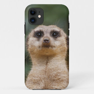 Meerkat 001 Case-Mate iPhone hülle