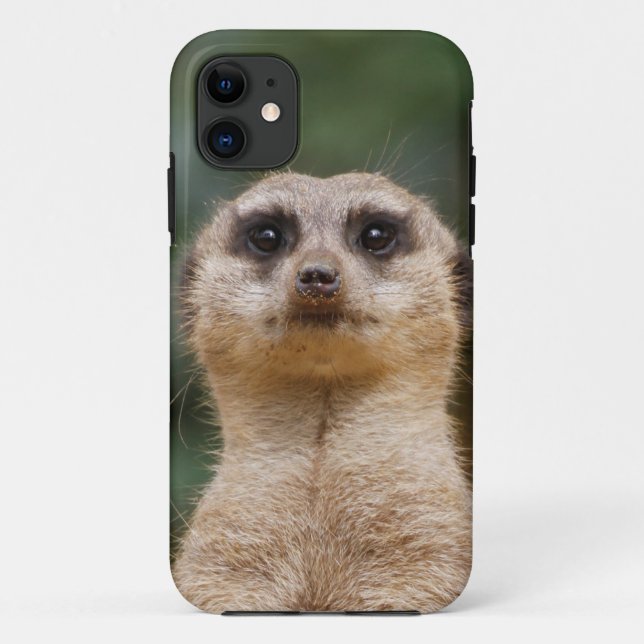 Meerkat 001 Case-Mate iPhone hülle (Rückseite)