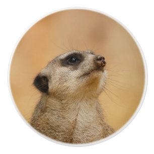 Meerkat 001 von JAMFoto Keramikknauf