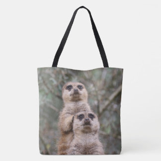 Meerkat_002