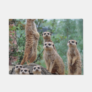 Meerkat_003 Fußmatte