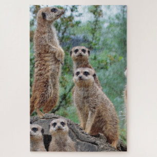 Meerkat_003 Puzzle