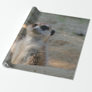 Meerkat 004 geschenkpapier