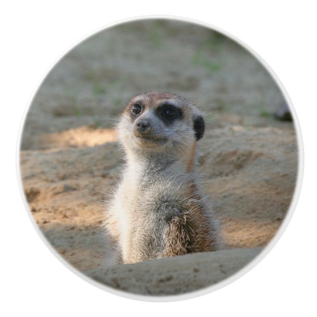 Meerkat 004 keramikknauf (Vorderseite)