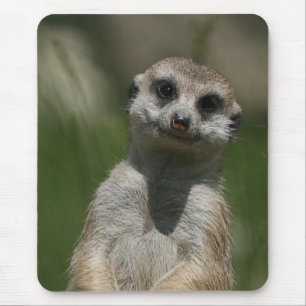 Meerkat 004 mousepad