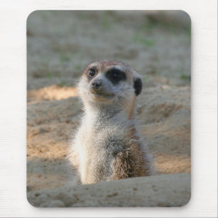 Meerkat 004 mousepad