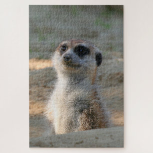 Meerkat 004 puzzle