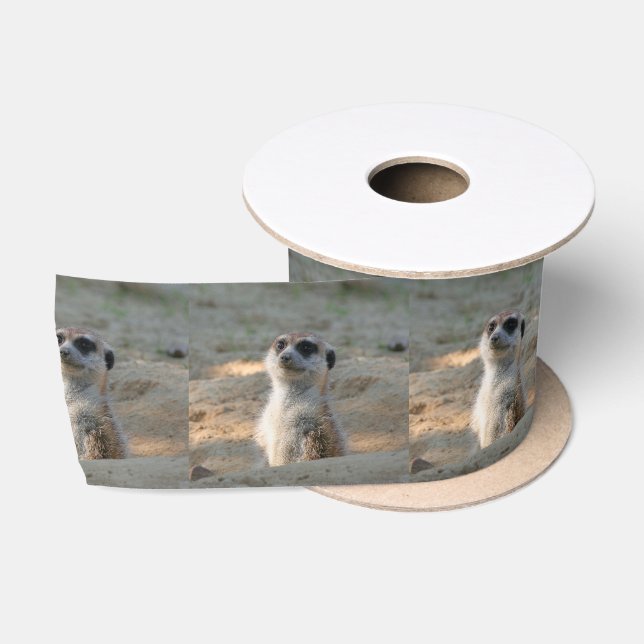 Meerkat 004 satinband (Spule)