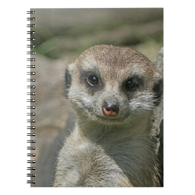 Meerkat 005 notizblock (Vorderseite)