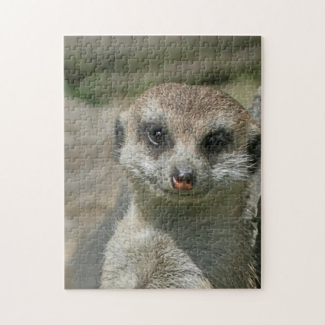 Meerkat 005 puzzle (Vertikal)