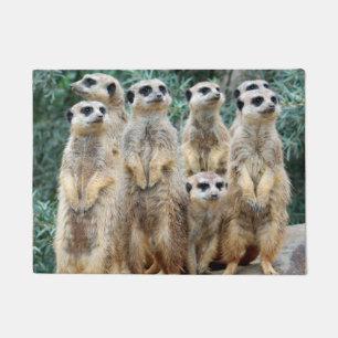 Meerkat 006 fußmatte