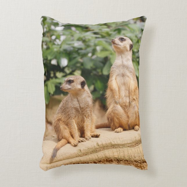 Meerkat 009 dekokissen (Vorderseite(Vertikal))