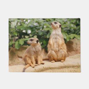 Meerkat 009 fußmatte
