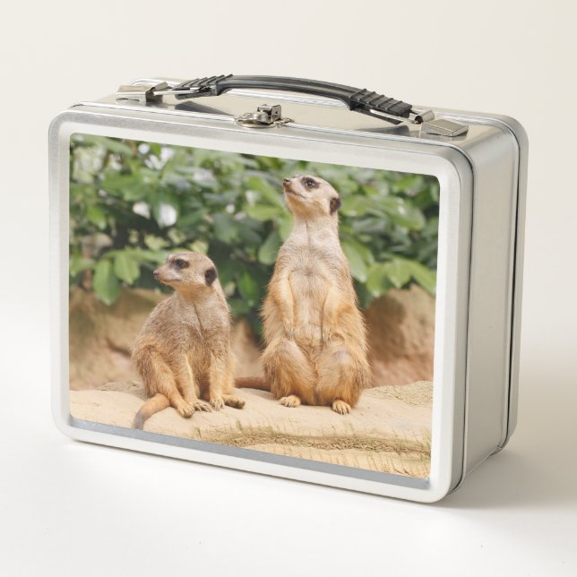 Meerkat 009 metall brotdose (Vorderseite)
