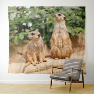 Meerkat 009 wandteppich