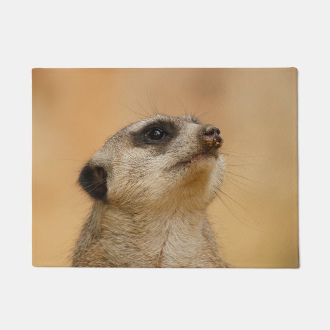 Meerkat 011 fußmatte (Vorderseite)