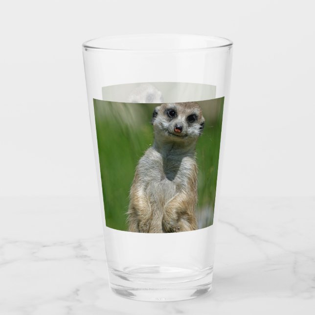 Meerkat 013 glas (Vorderseite)