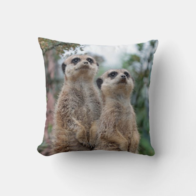 Meerkat 013 kissen (Vorderseite)