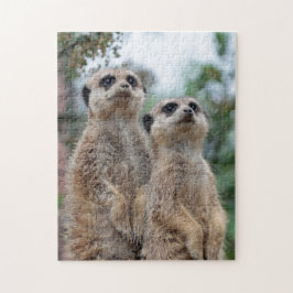 Meerkat 013 puzzle