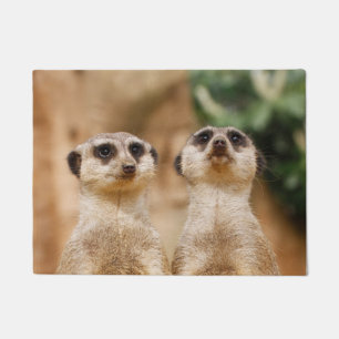Meerkat 017 fußmatte