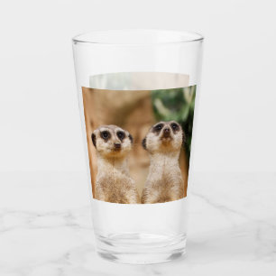 Meerkat 017 glas