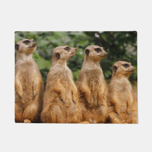 Meerkat 018 fußmatte